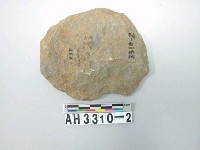 藏品(石片器)的圖片